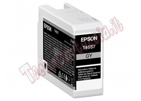Epson Cartuccia Grigio UltraChrome Pro 10 ink 25ml