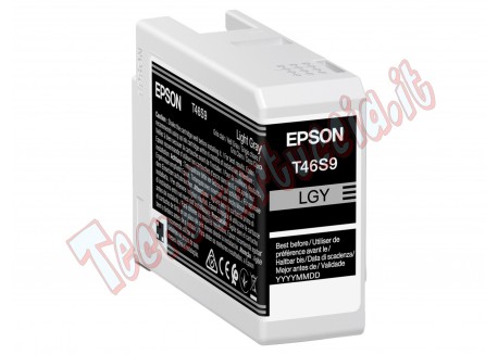 Epson Cartuccia Grigio UltraChrome Pro 10 ink 25ml
