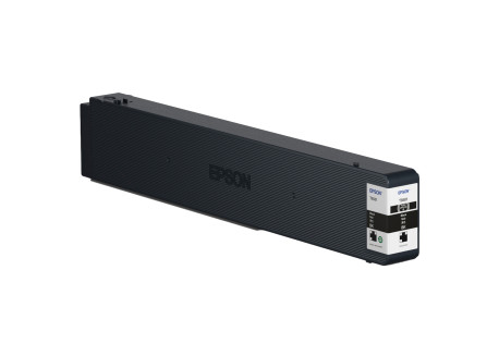 Epson - Cartuccia ink - Nero - C13T02Y100