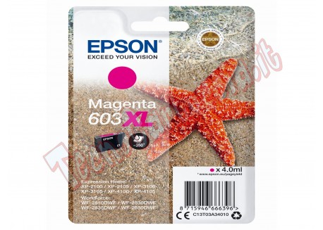 Epson - Cartuccia ink - 603XL - magenta - C13T03A34010 - 350 pag