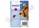 Epson - Cartuccia ink - Magenta - T0713 - C13T07134012 - 5,5ml