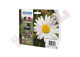 Epson - Cartuccia ink - 18XL - C/M/Y/K - C13T18164012 - C/M/Y 6,6ml cad - K 11,5ml