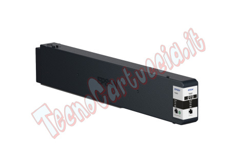 Epson - Cartuccia ink - Nero - C13T02S100