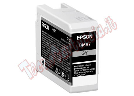 Epson - Cartuccia UltraChrome Pro 10 - Grigio - C13T46S700 - 25 ml