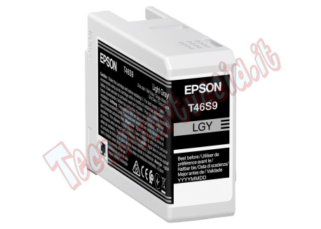 Epson - Cartuccia UltraChrome Pro 10 - Grigio - C13T46S900 - 25 ml