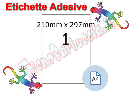 Etichette adesive A4 210 x 297 mm 1 etichetta per pagina 100 Fogli