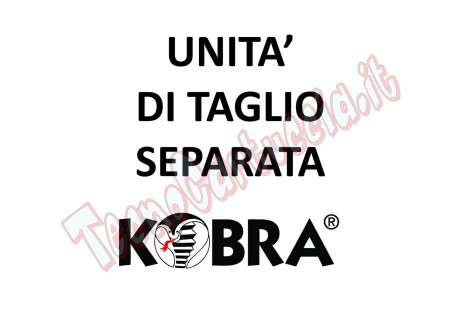 Optional Unità di taglio Separata CD / DVD Alta Sicurezza per KOBRA 410 TS HS HS6 6 HS-6