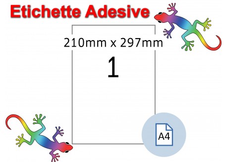 Etichette adesive A4 210 x 297 mm 1 etichetta per pagina 100 Fogli